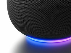 Google Home Speaker Hazel