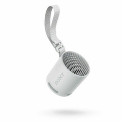 Sony Portable Wireless Speaker Gray